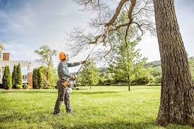 Best Tree Disease Treatment  in Lake Caroline, VA