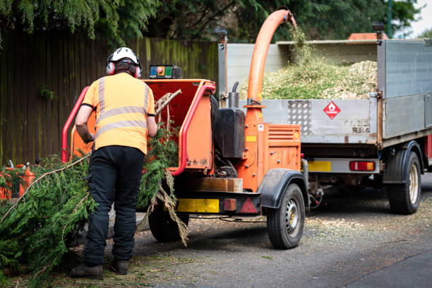 Best Leaf Removal  in Lake Caroline, VA